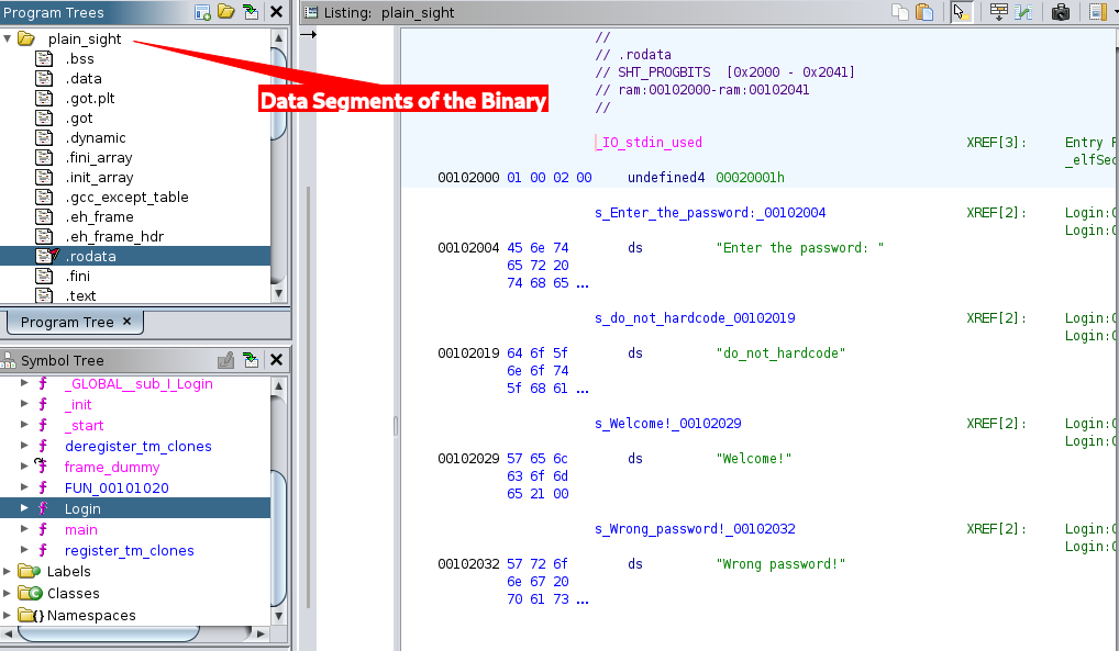 A look into the read only data segment